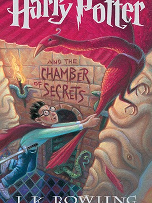 Harry Potter Chamber of Secrets