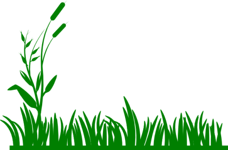 Grass Clipart